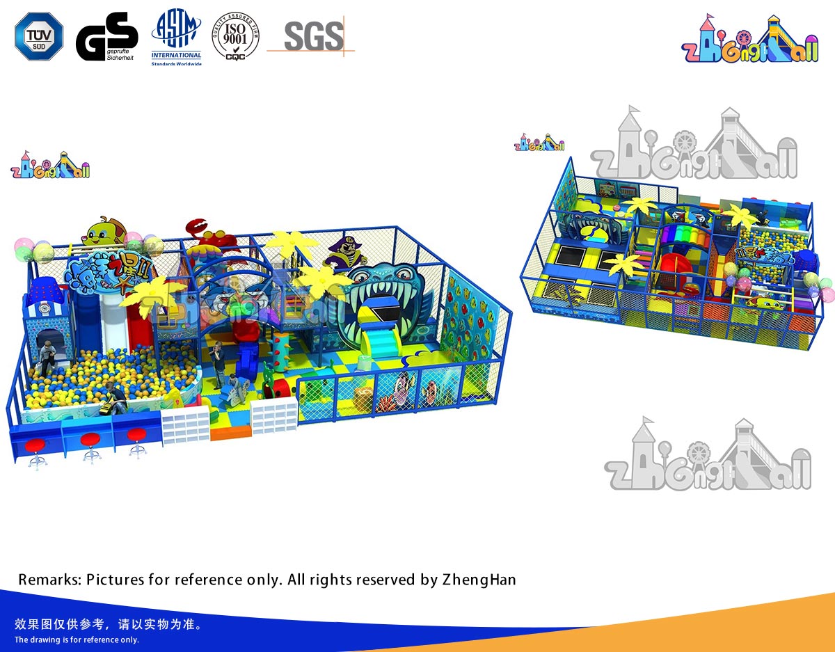 customized theme indoor playground.jpg