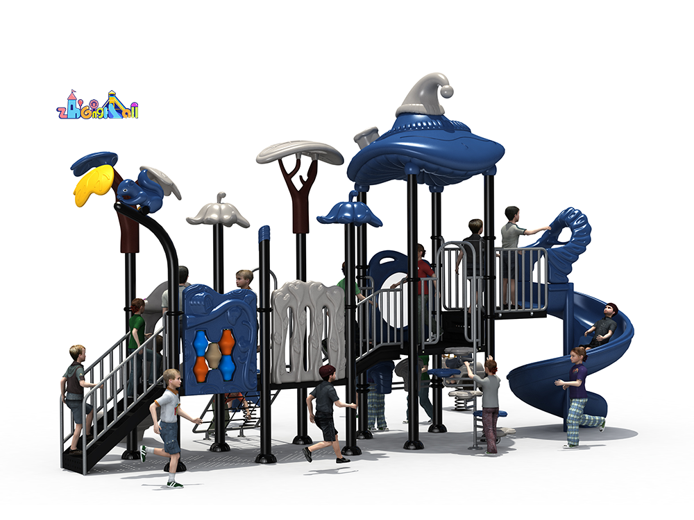 outdoor playground equipment ZH24-20701